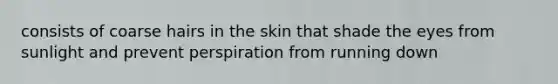 consists of coarse hairs in the skin that shade the eyes from sunlight and prevent perspiration from running down