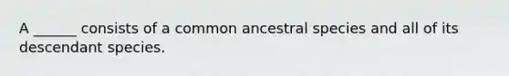 A ______ consists of a common ancestral species and all of its descendant species.