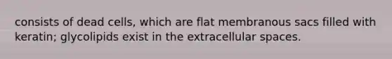 consists of dead cells, which are flat membranous sacs filled with keratin; glycolipids exist in the extracellular spaces.