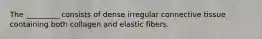 The _________ consists of dense irregular connective tissue containing both collagen and elastic fibers.