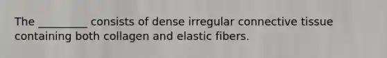 The _________ consists of dense irregular connective tissue containing both collagen and elastic fibers.