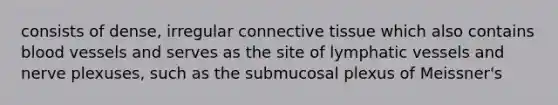 consists of dense, irregular connective tissue which also contains blood vessels and serves as the site of lymphatic vessels and nerve plexuses, such as the submucosal plexus of Meissner's