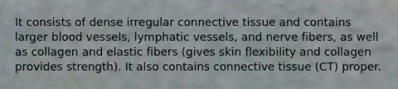 It consists of dense irregular connective tissue and contains larger blood vessels, lymphatic vessels, and nerve fibers, as well as collagen and elastic fibers (gives skin flexibility and collagen provides strength). It also contains connective tissue (CT) proper.