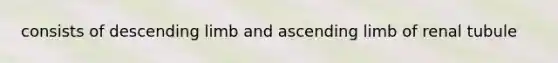 consists of descending limb and ascending limb of renal tubule