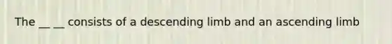 The __ __ consists of a descending limb and an ascending limb