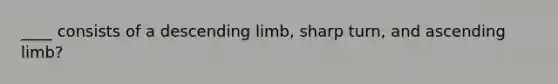 ____ consists of a descending limb, sharp turn, and ascending limb?