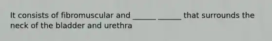 It consists of fibromuscular and ______ ______ that surrounds the neck of the bladder and urethra