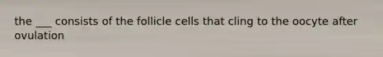 the ___ consists of the follicle cells that cling to the oocyte after ovulation