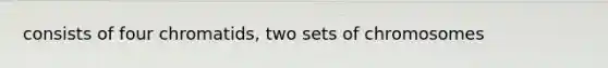 consists of four chromatids, two sets of chromosomes