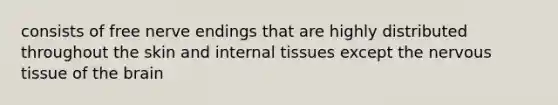 consists of free nerve endings that are highly distributed throughout the skin and internal tissues except the <a href='https://www.questionai.com/knowledge/kqA5Ws88nP-nervous-tissue' class='anchor-knowledge'>nervous tissue</a> of <a href='https://www.questionai.com/knowledge/kLMtJeqKp6-the-brain' class='anchor-knowledge'>the brain</a>