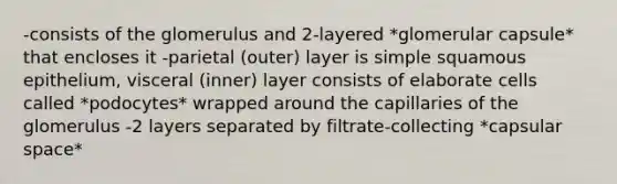 -consists of the glomerulus and 2-layered *glomerular capsule* that encloses it -parietal (outer) layer is simple squamous epithelium, visceral (inner) layer consists of elaborate cells called *podocytes* wrapped around the capillaries of the glomerulus -2 layers separated by filtrate-collecting *capsular space*