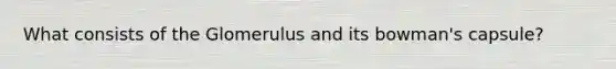 What consists of the Glomerulus and its bowman's capsule?