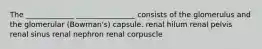 The _____________ ________________ consists of the glomerulus and the glomerular (Bowman's) capsule. renal hilum renal pelvis renal sinus renal nephron renal corpuscle