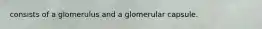 consists of a glomerulus and a glomerular capsule.