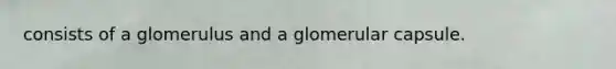 consists of a glomerulus and a glomerular capsule.