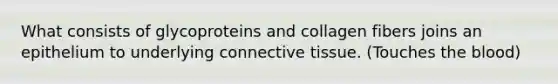 What consists of glycoproteins and collagen fibers joins an epithelium to underlying connective tissue. (Touches the blood)