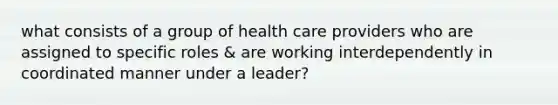 what consists of a group of health care providers who are assigned to specific roles & are working interdependently in coordinated manner under a leader?