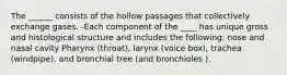 The ______ consists of the hollow passages that collectively exchange gases. -Each component of the ____ has unique gross and histological structure and includes the following: nose and nasal cavity Pharynx (throat), larynx (voice box), trachea (windpipe), and bronchial tree (and bronchioles ).