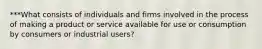 ***What consists of individuals and firms involved in the process of making a product or service available for use or consumption by consumers or industrial users?