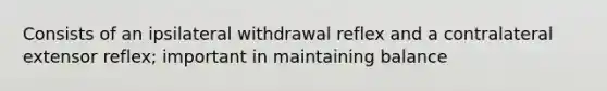Consists of an ipsilateral withdrawal reflex and a contralateral extensor reflex; important in maintaining balance