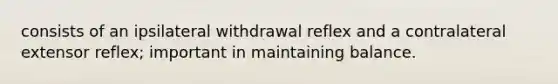 consists of an ipsilateral withdrawal reflex and a contralateral extensor reflex; important in maintaining balance.