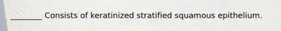 ________ Consists of keratinized stratified squamous epithelium.