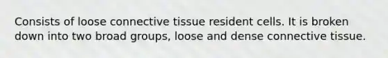 Consists of loose connective tissue resident cells. It is broken down into two broad groups, loose and dense connective tissue.