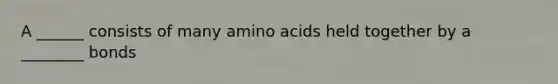 A ______ consists of many amino acids held together by a ________ bonds