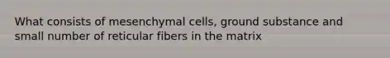 What consists of mesenchymal cells, ground substance and small number of reticular fibers in the matrix