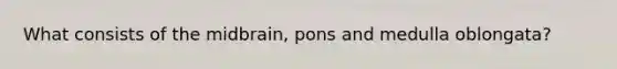 What consists of the midbrain, pons and medulla oblongata?