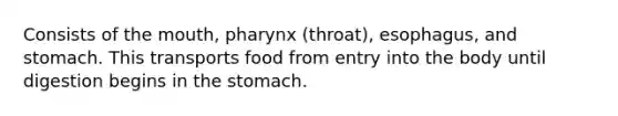 Consists of the mouth, pharynx (throat), esophagus, and stomach. This transports food from entry into the body until digestion begins in the stomach.