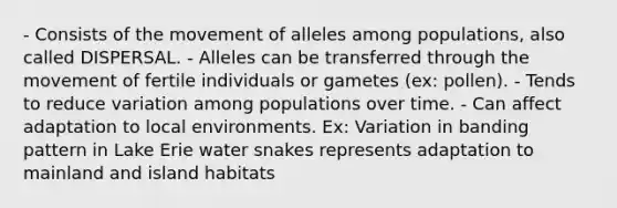 - Consists of the movement of alleles among populations, also called DISPERSAL. - Alleles can be transferred through the movement of fertile individuals or gametes (ex: pollen). - Tends to reduce variation among populations over time. - Can affect adaptation to local environments. Ex: Variation in banding pattern in Lake Erie water snakes represents adaptation to mainland and island habitats