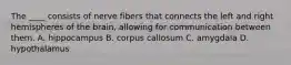 The ____ consists of nerve fibers that connects the left and right hemispheres of the brain, allowing for communication between them. A. hippocampus B. corpus callosum C. amygdala D. hypothalamus