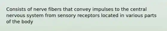 Consists of nerve fibers that convey impulses to the central nervous system from sensory receptors located in various parts of the body