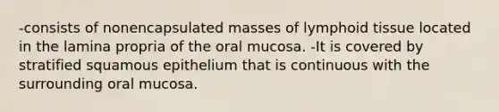 -consists of nonencapsulated masses of lymphoid tissue located in the lamina propria of the oral mucosa. -It is covered by stratified squamous epithelium that is continuous with the surrounding oral mucosa.