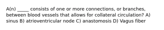 A(n) _____ consists of one or more connections, or branches, between blood vessels that allows for collateral circulation? A) sinus B) atrioventricular node C) anastomosis D) Vagus fiber