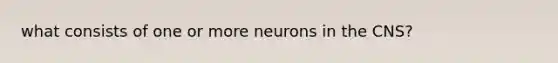 what consists of one or more neurons in the CNS?