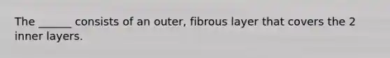 The ______ consists of an outer, fibrous layer that covers the 2 inner layers.