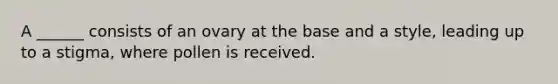 A ______ consists of an ovary at the base and a style, leading up to a stigma, where pollen is received.
