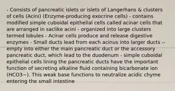 - Consists of pancreatic islets or islets of Langerhans & clusters of cells (Acini) (Enzyme-producing exocrine cells) - contains modified simple cuboidal epithelial cells called acinar cells that are arranged in saclike acini - organized into large clusters termed lobules - Acinar cells produce and release digestive enzymes - Small ducts lead from each acinus into larger ducts -- empty into either the main pancreatic duct or the accessory pancreatic duct, which lead to the duodenum - simple cuboidal epithelial cells lining the pancreatic ducts have the important function of secreting alkaline fluid containing bicarbonate ion (HCO3−). This weak base functions to neutralize acidic chyme entering the small intestine