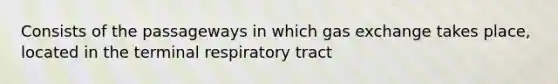 Consists of the passageways in which <a href='https://www.questionai.com/knowledge/kU8LNOksTA-gas-exchange' class='anchor-knowledge'>gas exchange</a> takes place, located in the terminal respiratory tract