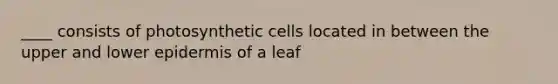 ____ consists of photosynthetic cells located in between the upper and lower epidermis of a leaf