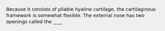 Because it consists of pliable hyaline cartilage, the cartilaginous framework is somewhat flexible. The external nose has two openings called the ____