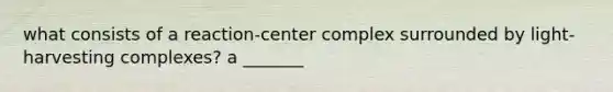 what consists of a reaction-center complex surrounded by light-harvesting complexes? a _______