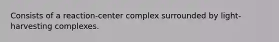 Consists of a reaction-center complex surrounded by light-harvesting complexes.