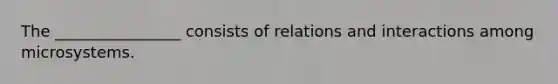 The ________________ consists of relations and interactions among microsystems.