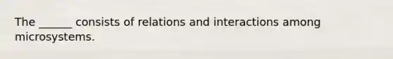 The ______ consists of relations and interactions among microsystems.