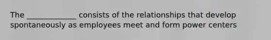 The _____________ consists of the relationships that develop spontaneously as employees meet and form power centers