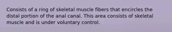 Consists of a ring of skeletal muscle fibers that encircles the distal portion of the anal canal. This area consists of skeletal muscle and is under voluntary control.