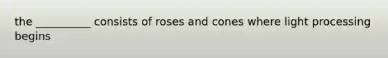 the __________ consists of roses and cones where light processing begins